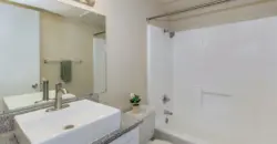 Brushy Creek Village