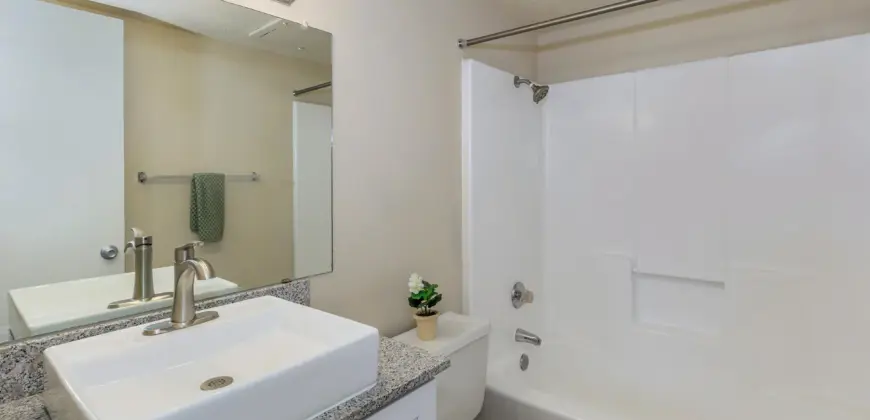 Brushy Creek Village