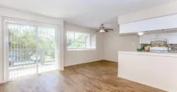 Brushy Creek Village