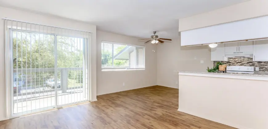 Brushy Creek Village