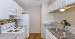 Brushy Creek Village