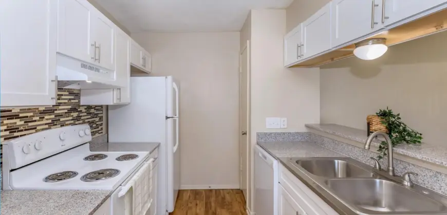 Brushy Creek Village