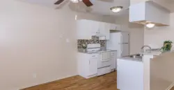 Brushy Creek Village