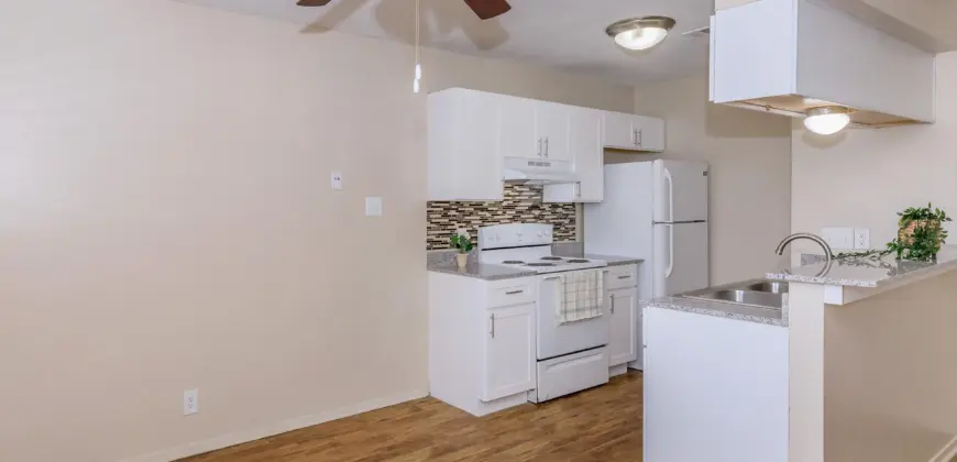 Brushy Creek Village