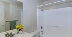 Brushy Creek Village