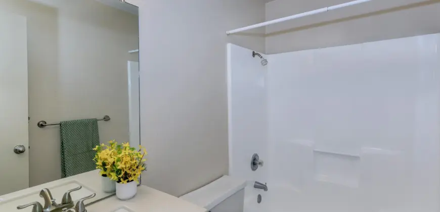 Brushy Creek Village