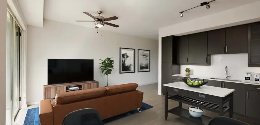 Camden Rainey Street