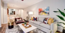 Canyon Springs On Bull Creek