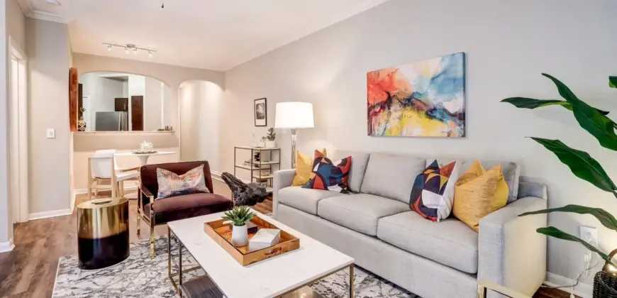 Canyon Springs On Bull Creek