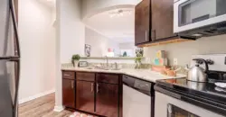 Canyon Springs On Bull Creek