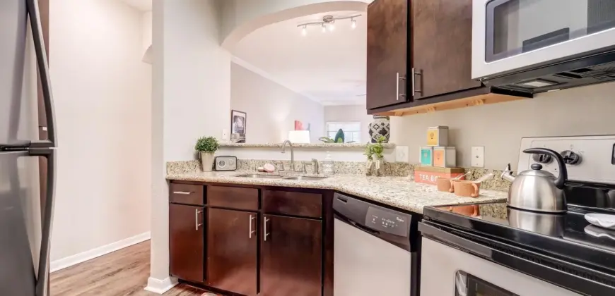 Canyon Springs On Bull Creek