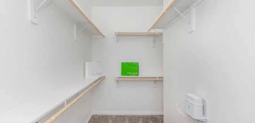 Caroline Lofts