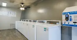 Carrara At Cypress Creek