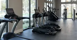 Casagave At Larkspur