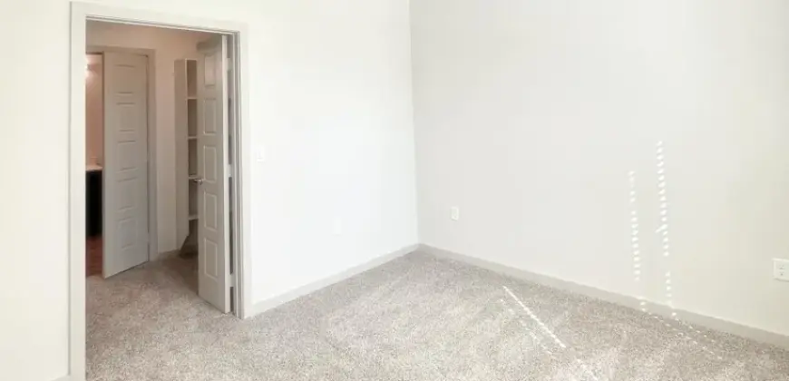 Casagave At Larkspur