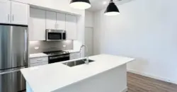 Casagave At Larkspur