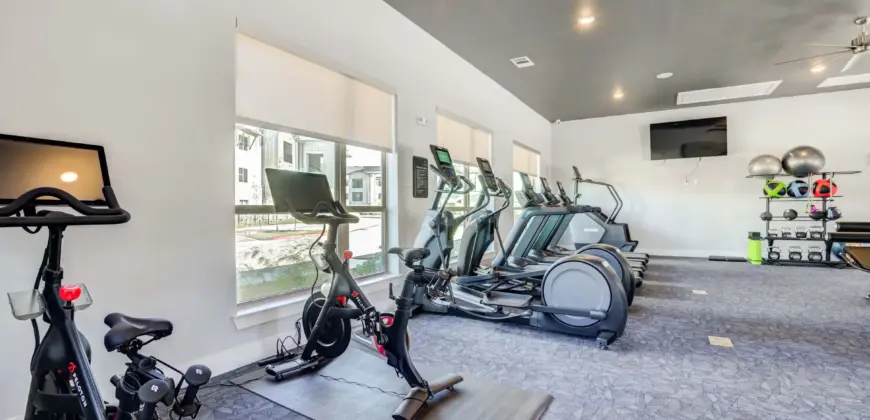 Cascades At Onion Creek