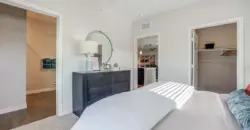 Cascades At Onion Creek