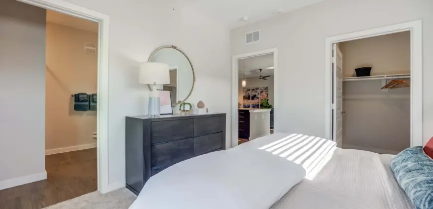 Cascades At Onion Creek