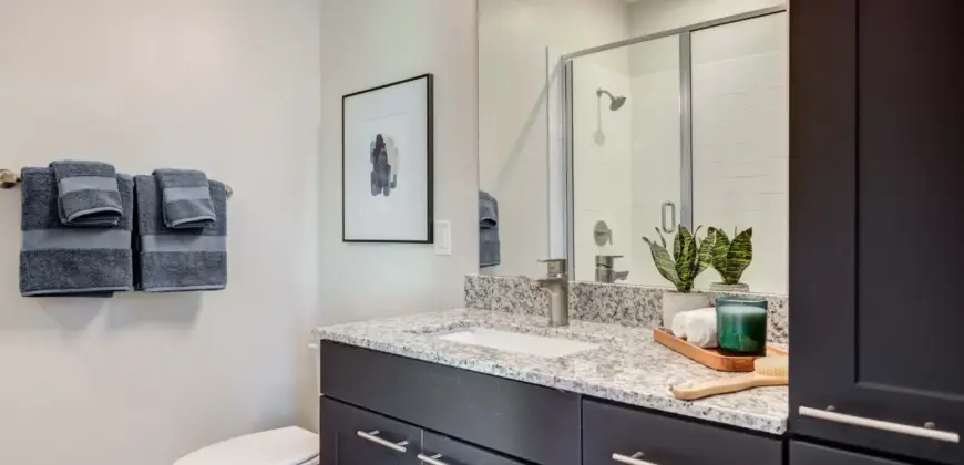 Cascades At Onion Creek