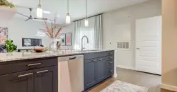 Cascades At Onion Creek