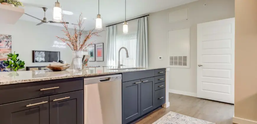 Cascades At Onion Creek