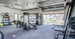 Cascades At Onion Creek