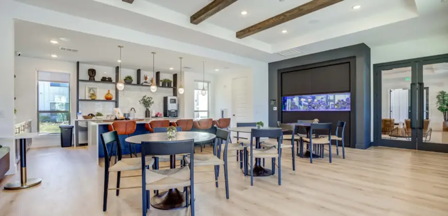 Cascades At Onion Creek