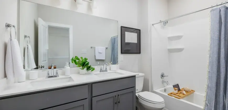 Caso University Heights