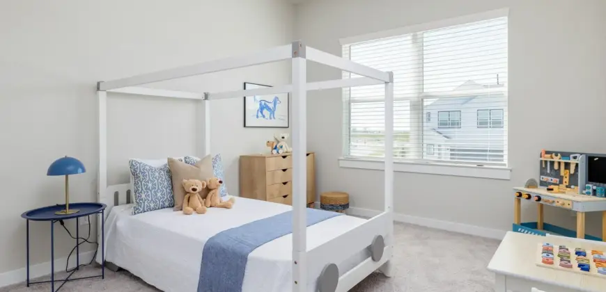 Caso University Heights