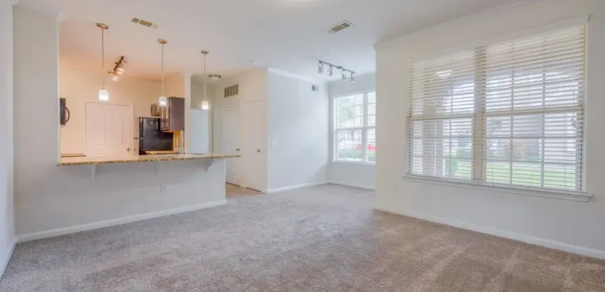 Century Stone Hill South