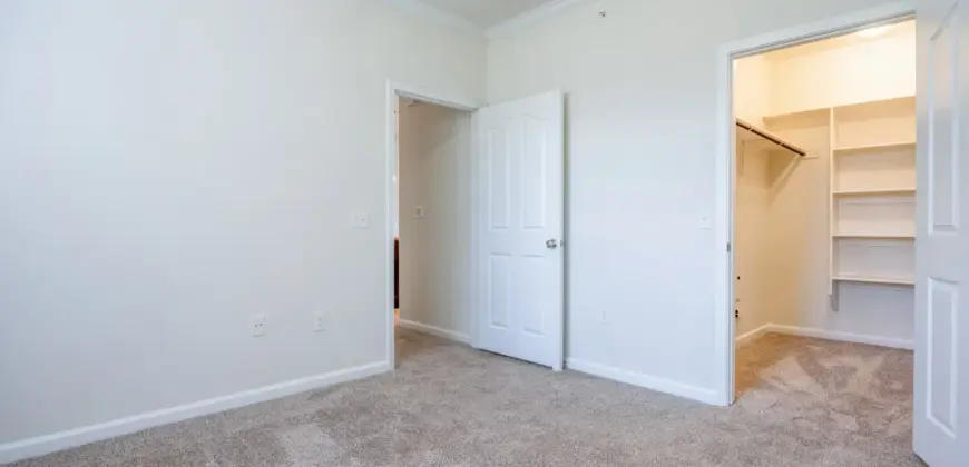 Century Stone Hill South