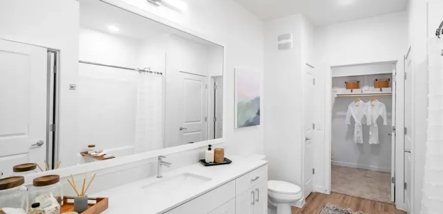 Citizen House Blue Bluff