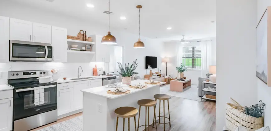 Citizen House Blue Bluff