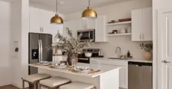 Citizen House Decker