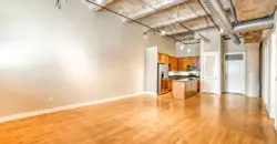CityView Lofts I