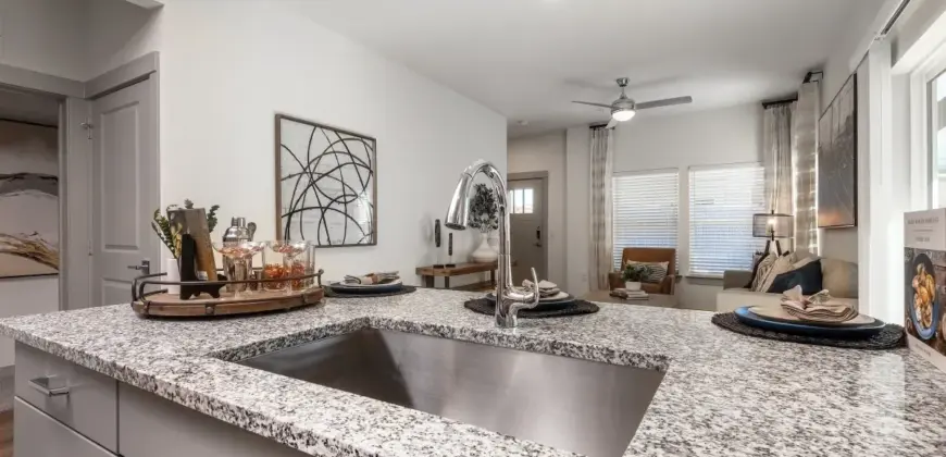 Collection At Gruene