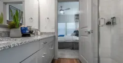 Collection At Gruene