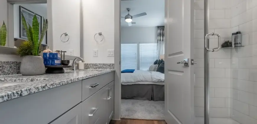 Collection At Gruene