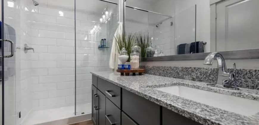 Collection At Gruene