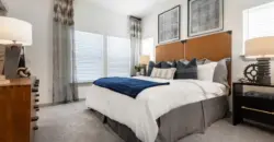 Collection At Gruene