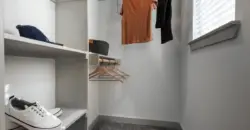 Collection At Gruene