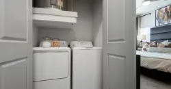 Collection At Gruene