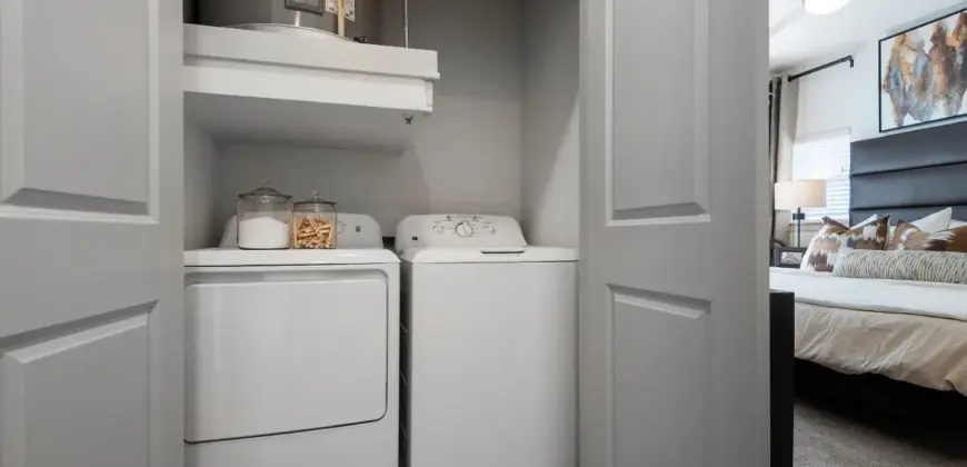 Collection At Gruene