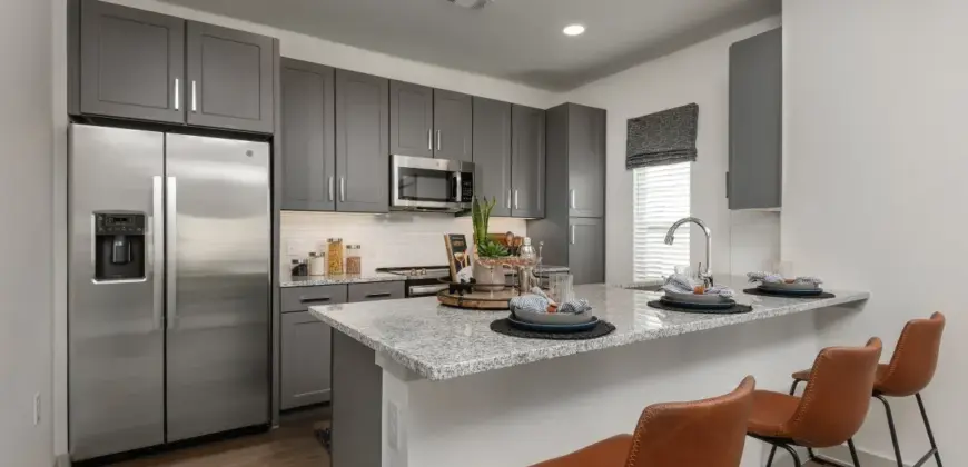 Collection At Gruene