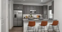 Collection At Gruene