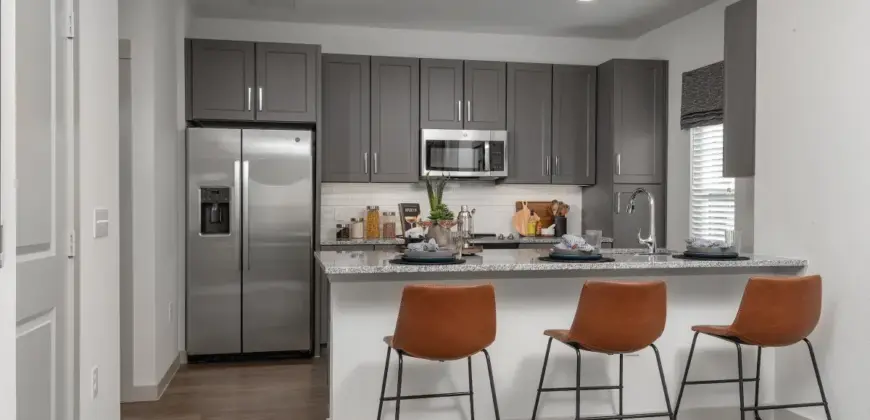 Collection At Gruene