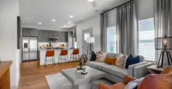 Collection At Gruene