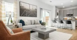 Collection At Gruene