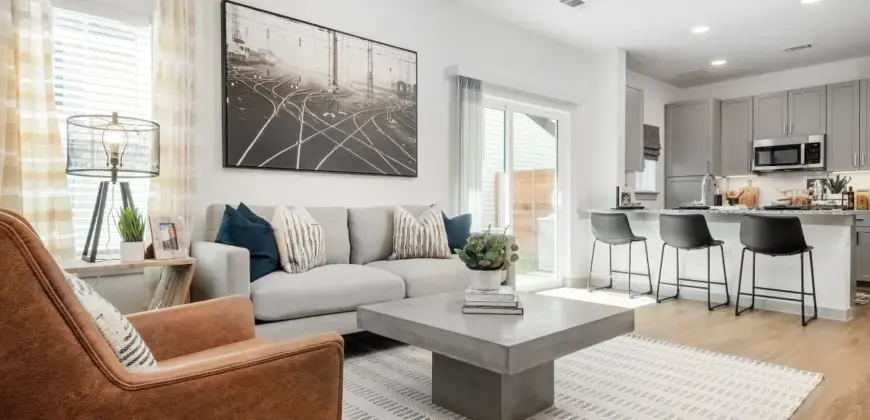 Collection At Gruene